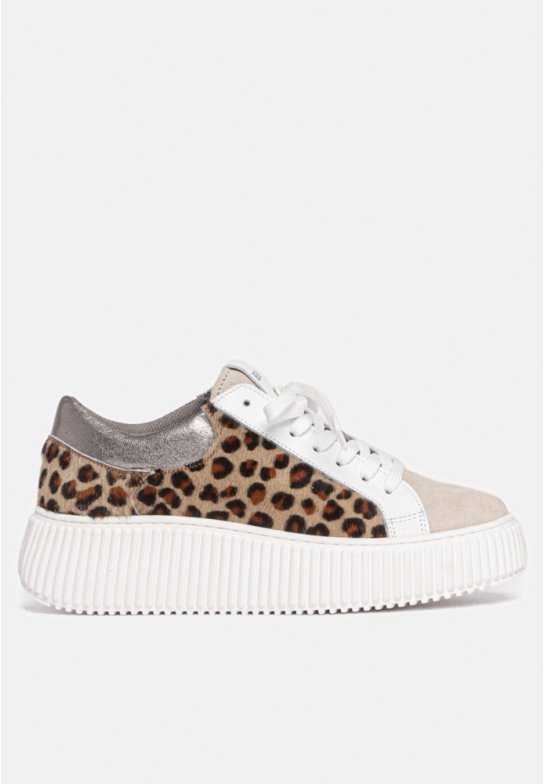 Court sneaker - Leopard